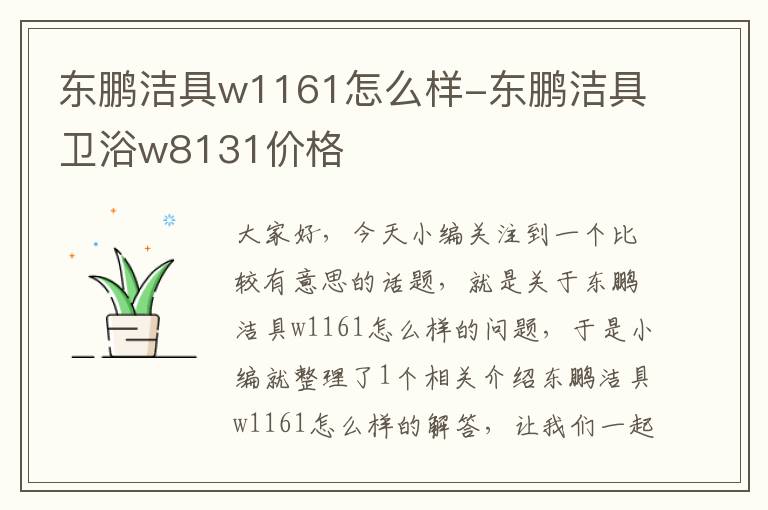 东鹏洁具w1161怎么样-东鹏洁具卫浴w8131价格