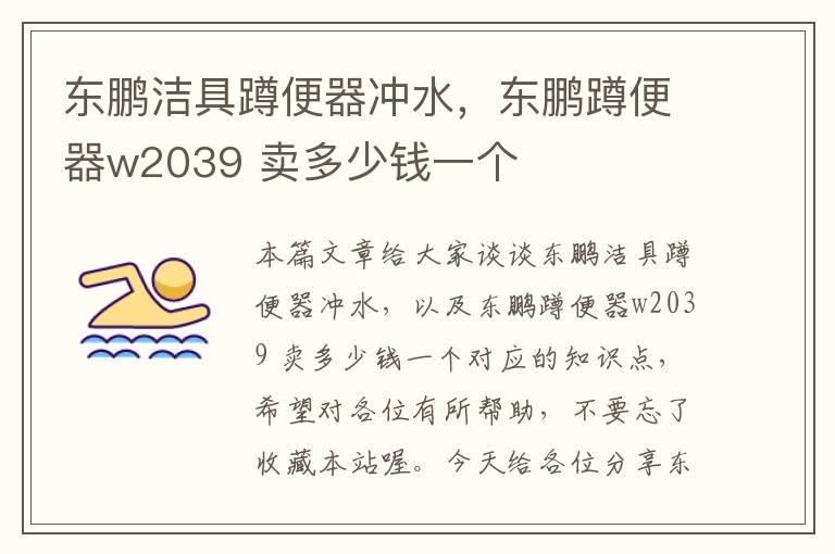 东鹏洁具蹲便器冲水，东鹏蹲便器w2039 卖多少钱一个