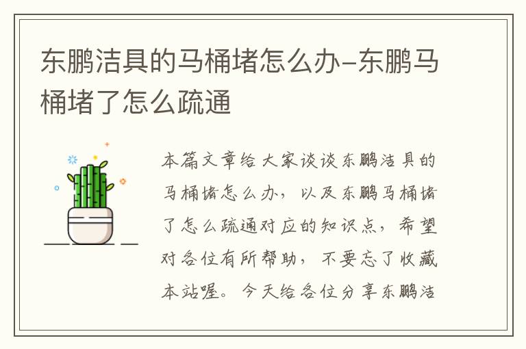 东鹏洁具的马桶堵怎么办-东鹏马桶堵了怎么疏通