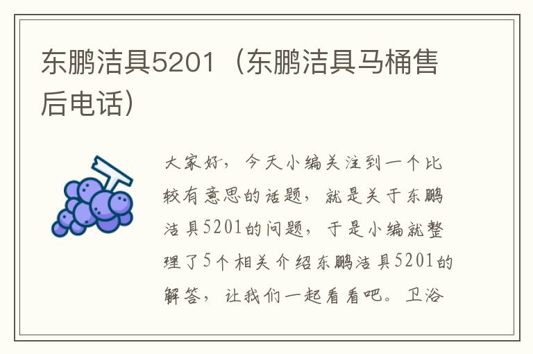 东鹏洁具5201（东鹏洁具马桶售后电话）