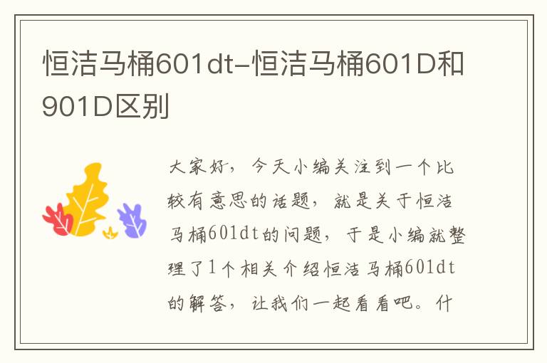 恒洁马桶601dt-恒洁马桶601D和901D区别