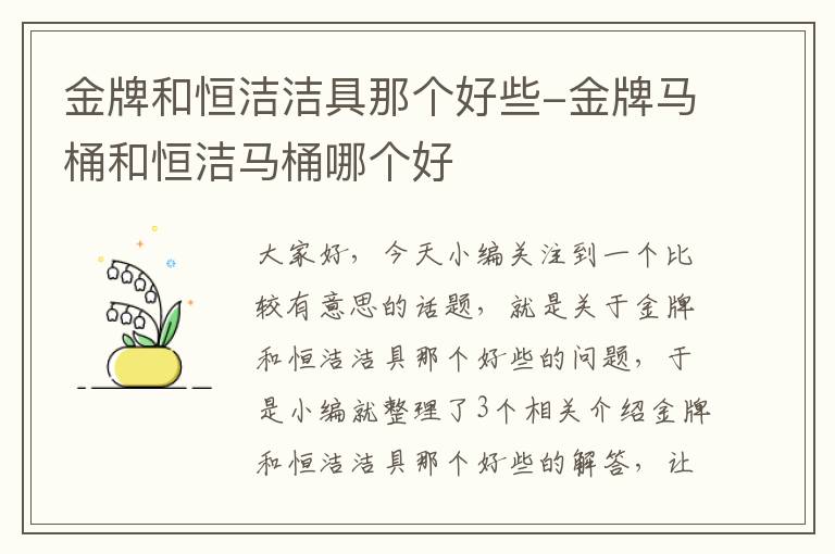 金牌和恒洁洁具那个好些-金牌马桶和恒洁马桶哪个好