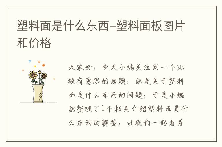 塑料面是什么东西-塑料面板图片和价格