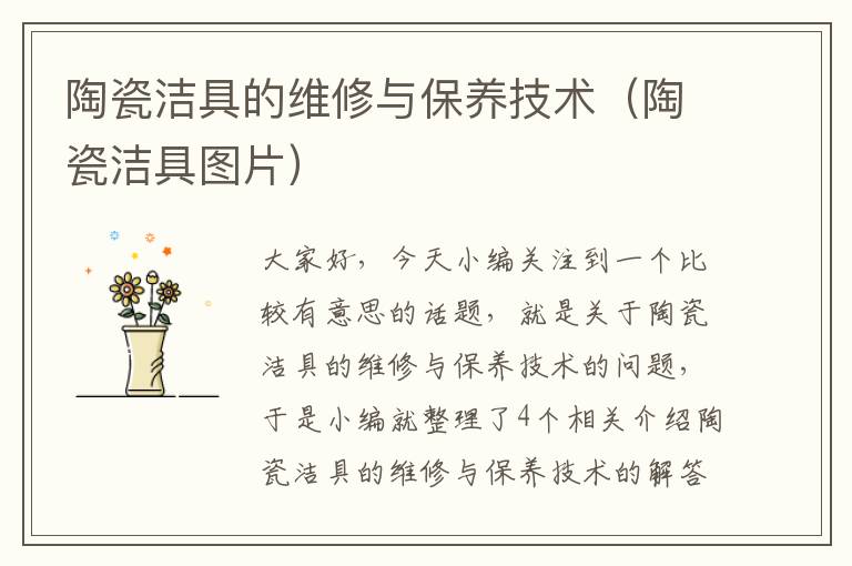 陶瓷洁具的维修与保养技术（陶瓷洁具图片）